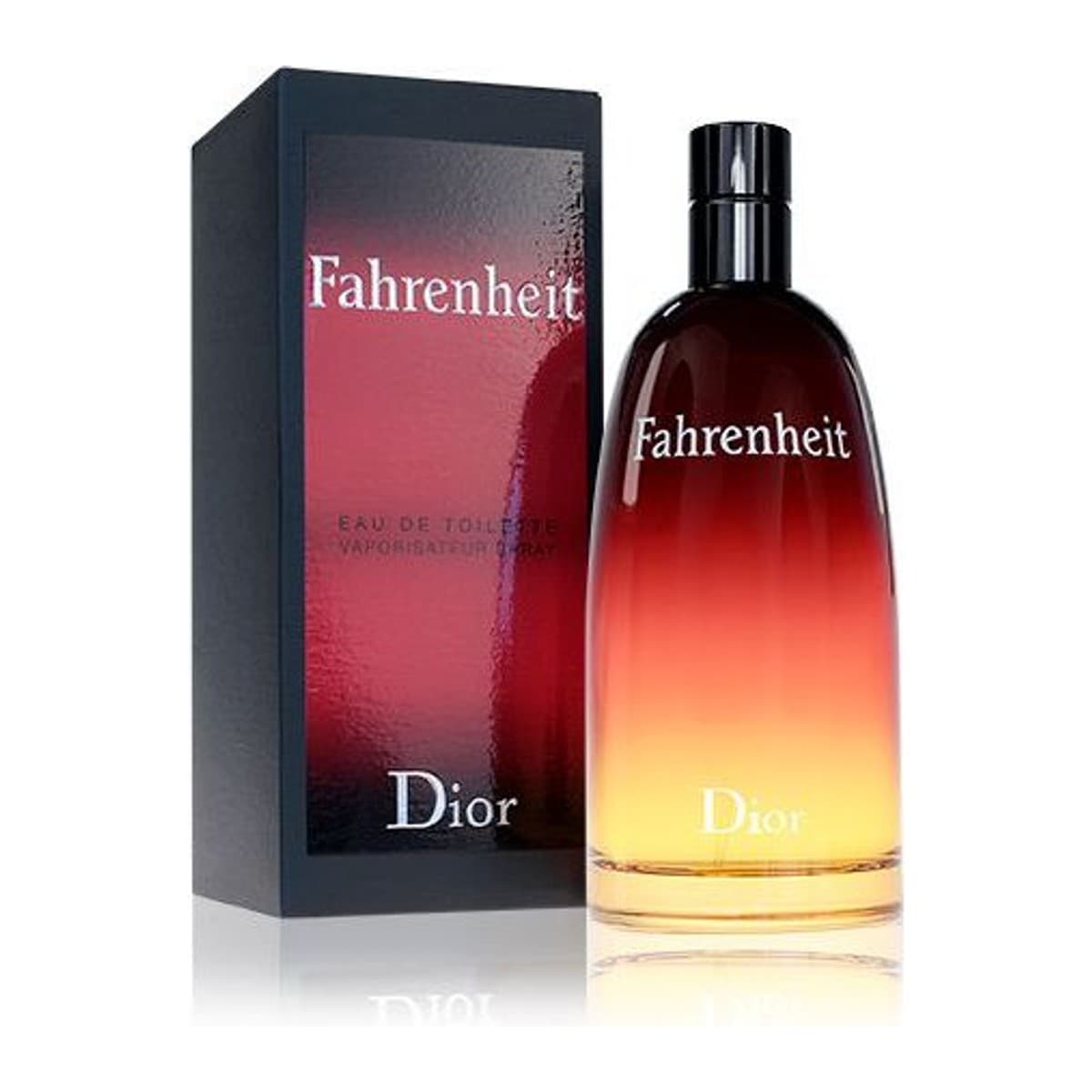 Dior Fahrenheit toaletní voda pro muže 100 ml